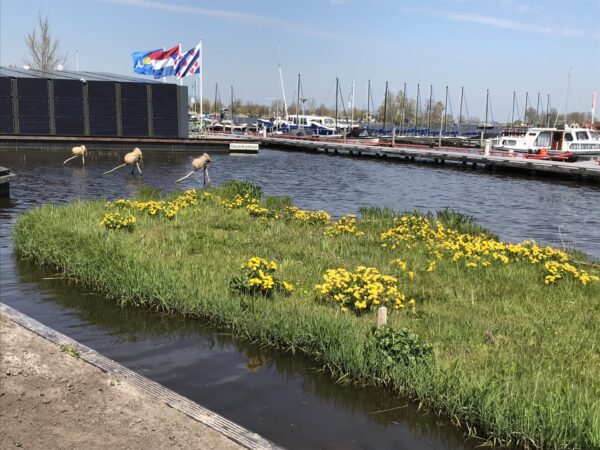 Grien-blauwe strúntocht