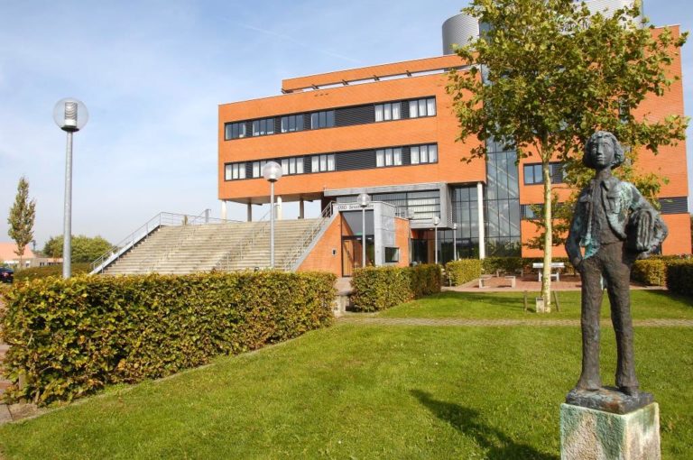 Markt voor nieuwkomers in Grou