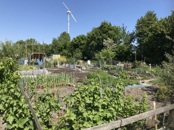 Open huis Volkstuinvereniging Grou